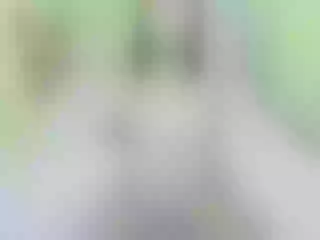 Live sex webcam photo for SwweetAngel #269153574
