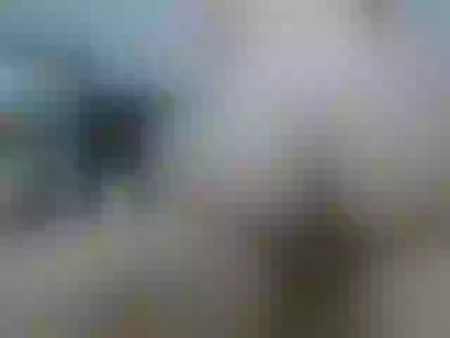 Live sex webcam photo for ShirleyandRay #269148728
