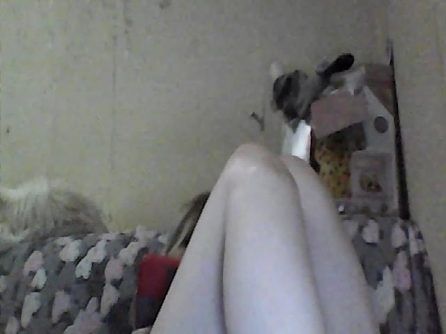 Live sex webcam photo for GuiltyKitty #269163917