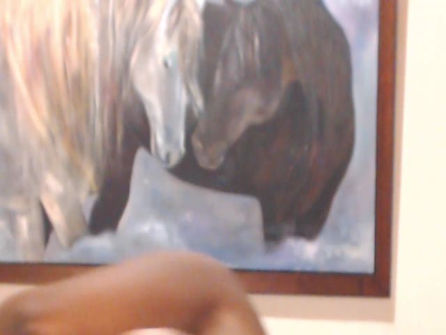 Live sex webcam photo for grissex #269155116