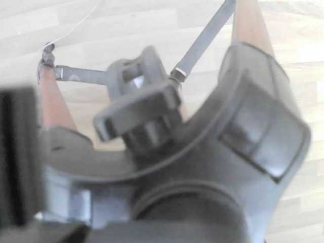 Live sex webcam photo for Yolie6266 #269157617