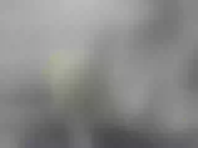Live sex webcam photo for Misskristina #269168916