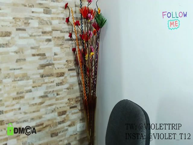 Live sex webcam photo for Violettrip #269166396