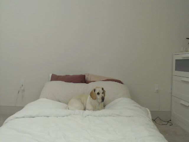 Live sex webcam photo for eggytiff #269168151