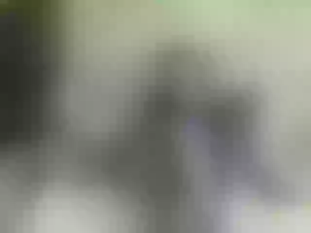 Live sex webcam photo for Millsieleonn #269192705