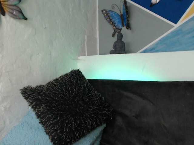 Live sex webcam photo for MalakRc #269189255