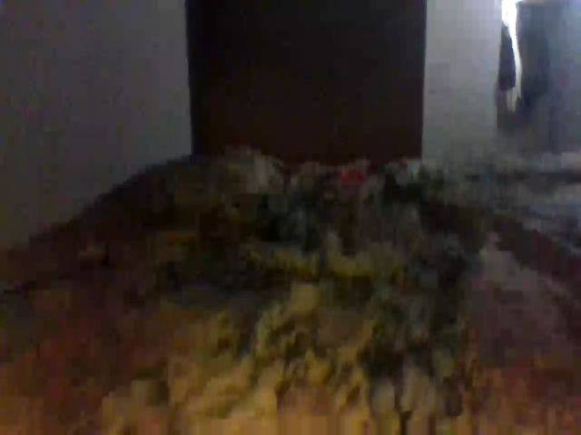 Live sex webcam photo for Oricle #269187046
