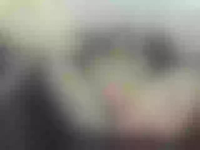 Live sex webcam photo for Merida- #269210123