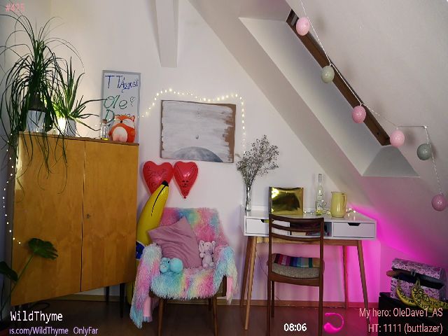 Live sex webcam photo for WildThyme #269225909