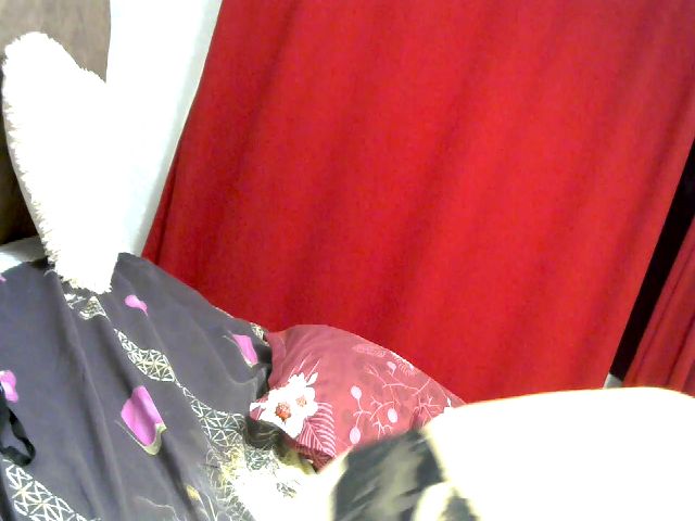 Live sex webcam photo for Morgana_Crown #269224210