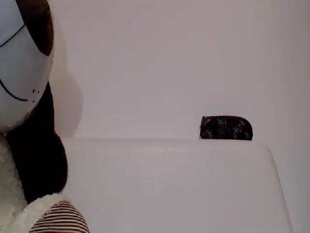 Live sex webcam photo for mayhott2 #287888206