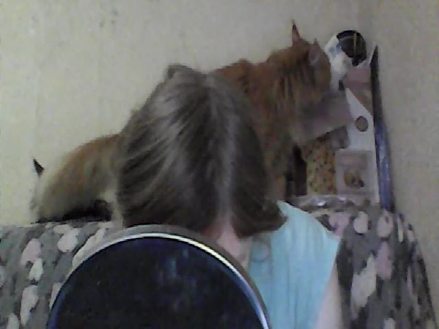 Live sex webcam photo for GuiltyKitty #269234770