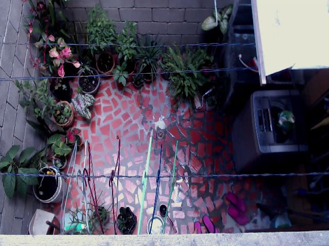 Live sex webcam photo for Eli_machado23 #269243832