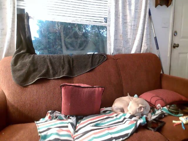 Live sex webcam photo for Weetziebabe #269245755