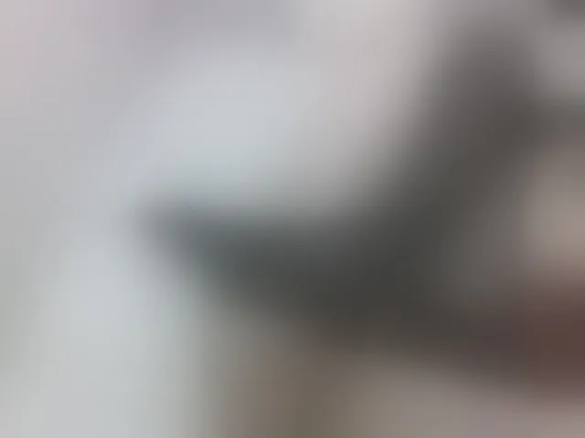Live sex webcam photo for My_Tiger #269260576