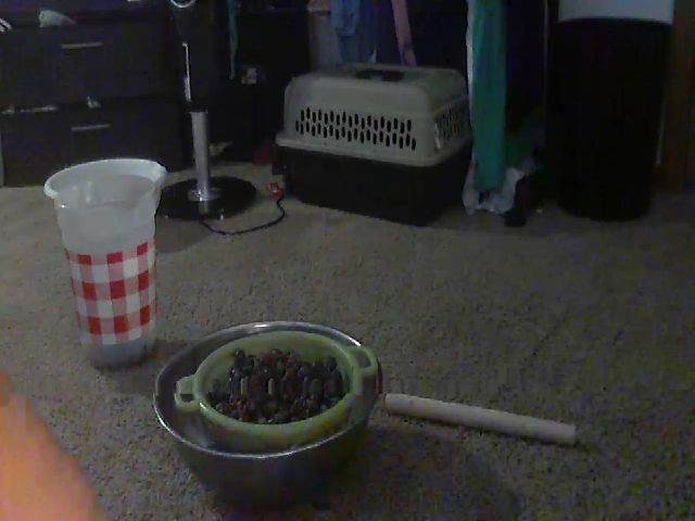 Live sex webcam photo for AlegraWenda #269262339