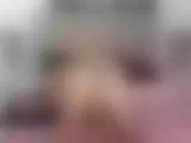 Live sex webcam photo for mandypeas #288012980