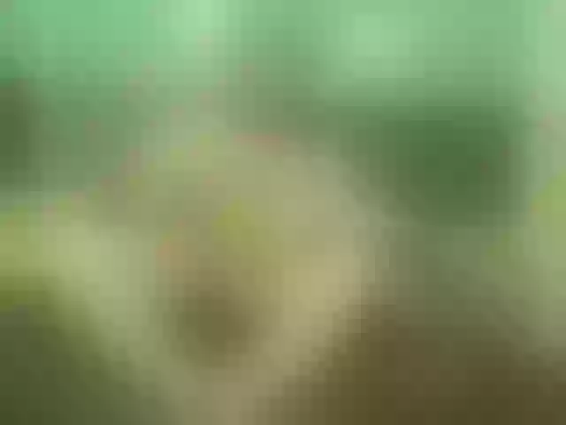 Live sex webcam photo for JassLover #269261640