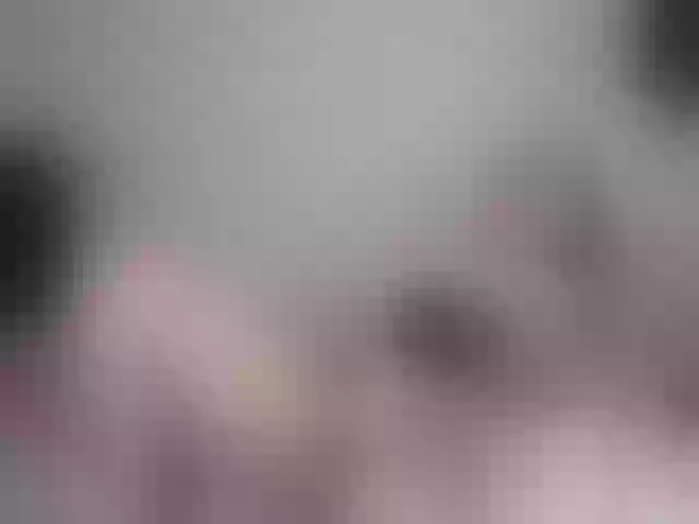 Live sex webcam photo for alexabeals #269260957