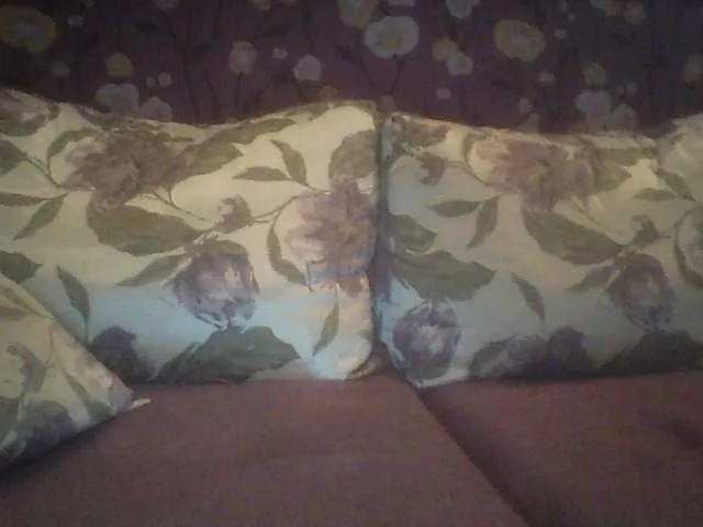 Live sex webcam photo for leila36 #269280999