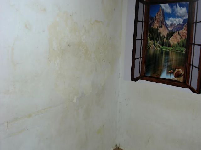 Live sex webcam photo for Frefreesx1 #269278776