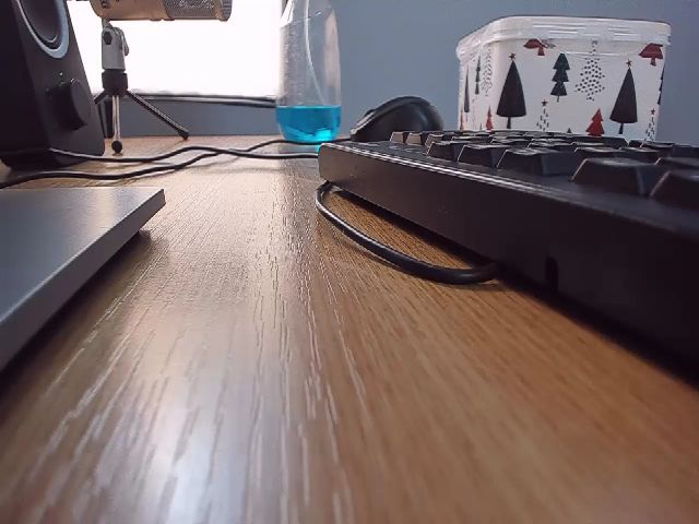 Live sex webcam photo for LizzieBrie #269272505