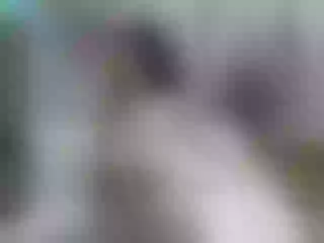 Live sex webcam photo for Sex-With-Me #269292004