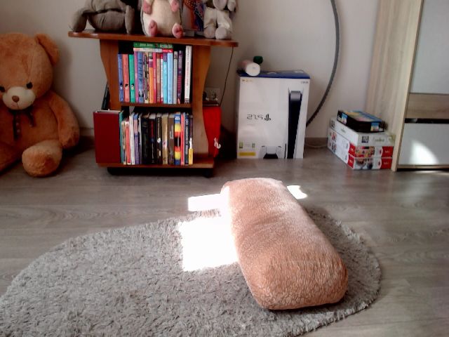 Live sex webcam photo for HoneyIAmHome #269288590