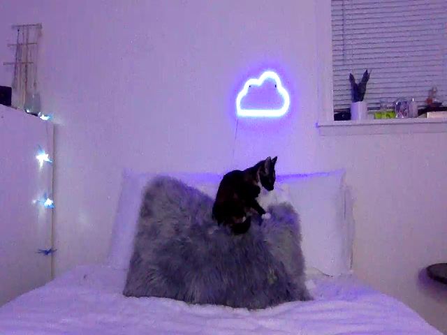 Live sex webcam photo for Lucyy_fer #269287405