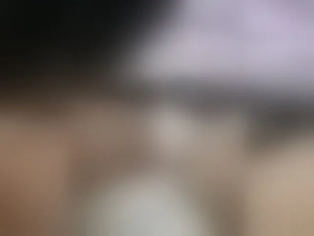 Live sex webcam photo for STOP-PANIC #287997510