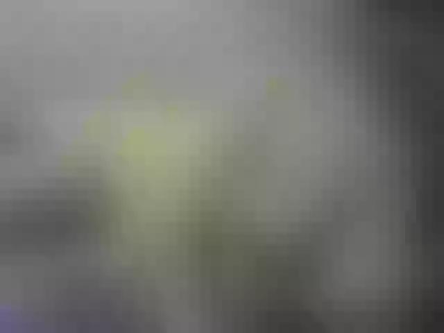 Live sex webcam photo for Misskristina #269336147