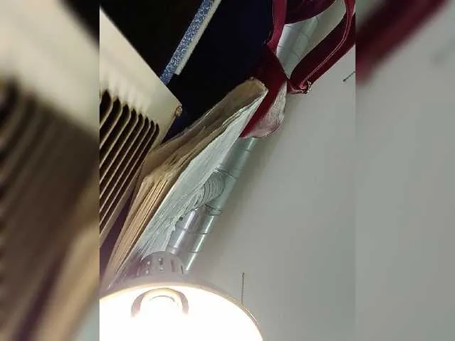 Live sex webcam photo for Anesteishen #269345104