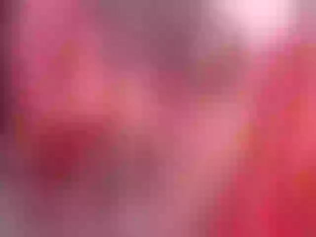 Live sex webcam photo for Whitney-Wells #269340332