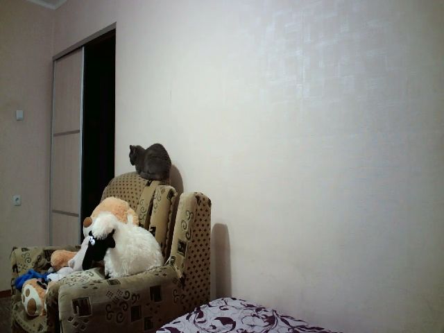 Live sex webcam photo for Cute_Fire #269351458