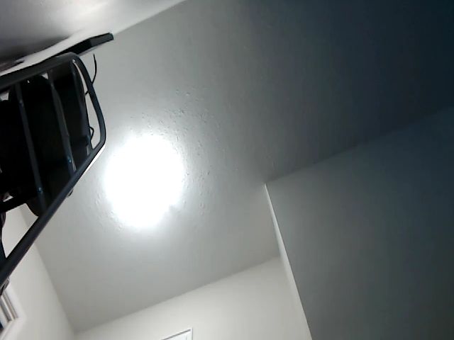 Live sex webcam photo for Cbearrrr #269353533