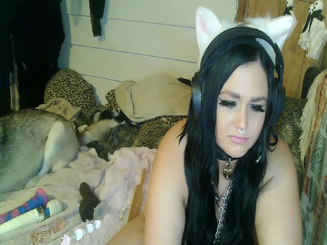 Live sex webcam photo for xxKittens #269354722