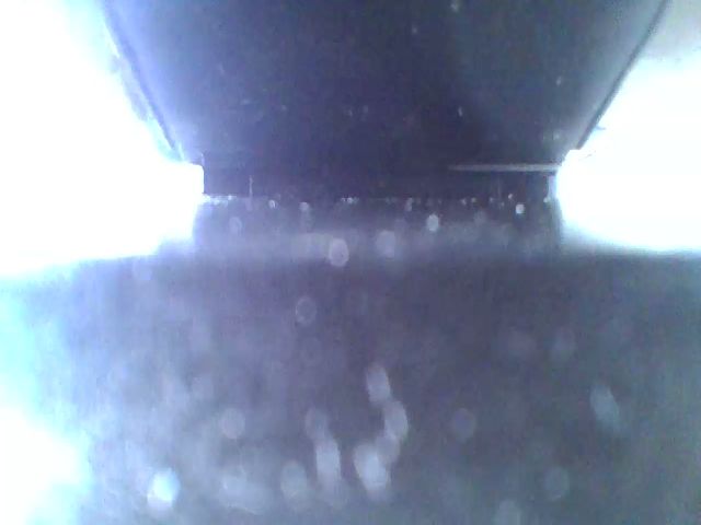 Live sex webcam photo for AriaFields #269368647