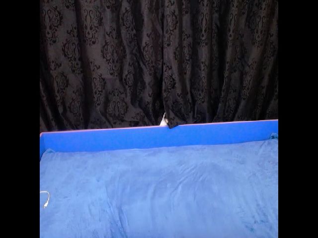 Live sex webcam photo for CandyHayde #269373372