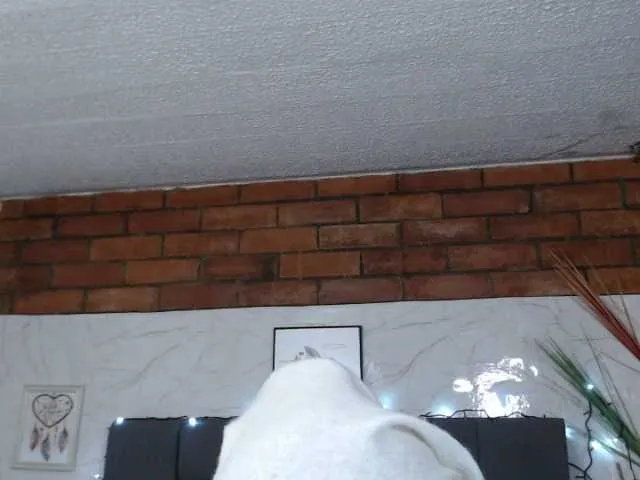 Live sex webcam photo for haddy18 #269393236