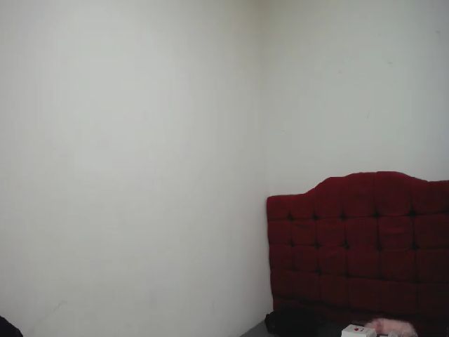 Live sex webcam photo for Milliefox #269396907