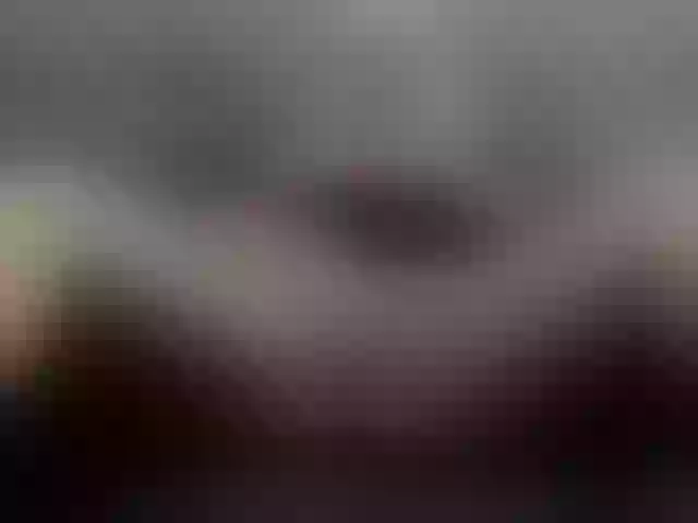 Live sex webcam photo for BigHornyBoobs #269398271