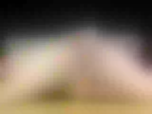 Live sex webcam photo for nicehotjob #269411839