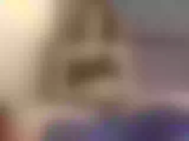 Live sex webcam photo for zara-blonde #269398639