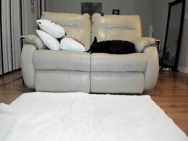 Live sex webcam photo for Belphoebe #269401637