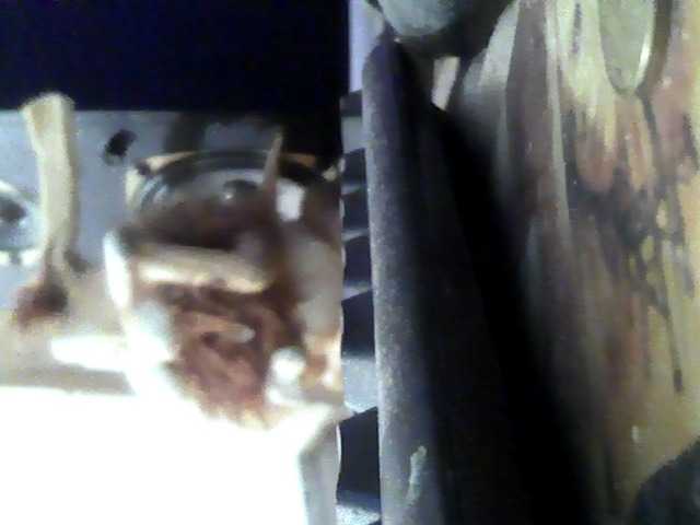 Live sex webcam photo for Zhozy #269407513