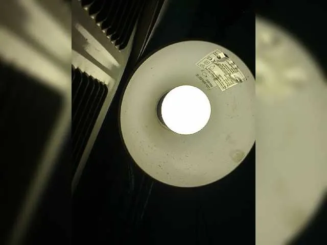 Live sex webcam photo for Anesteishen #269436619