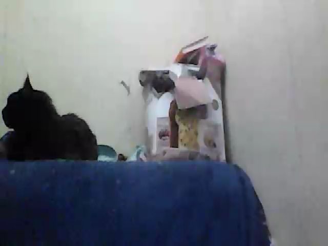 Live sex webcam photo for GuiltyKitty #269434485