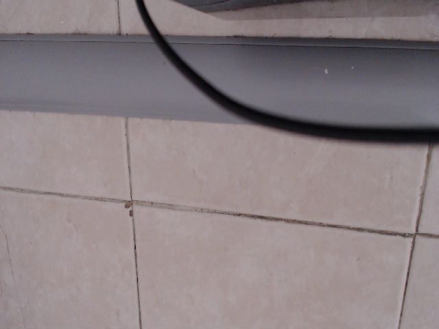 Live sex webcam photo for Miss_kim18 #269446473