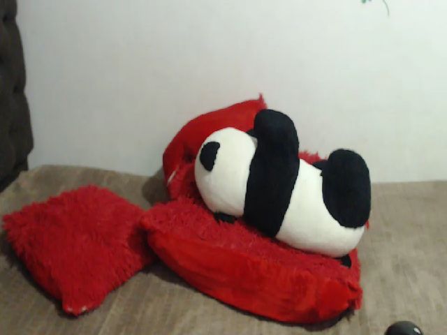 Live sex webcam photo for sofia_swee #269434671