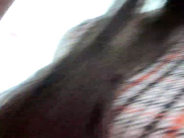 Live sex webcam photo for Selene18a #269439650